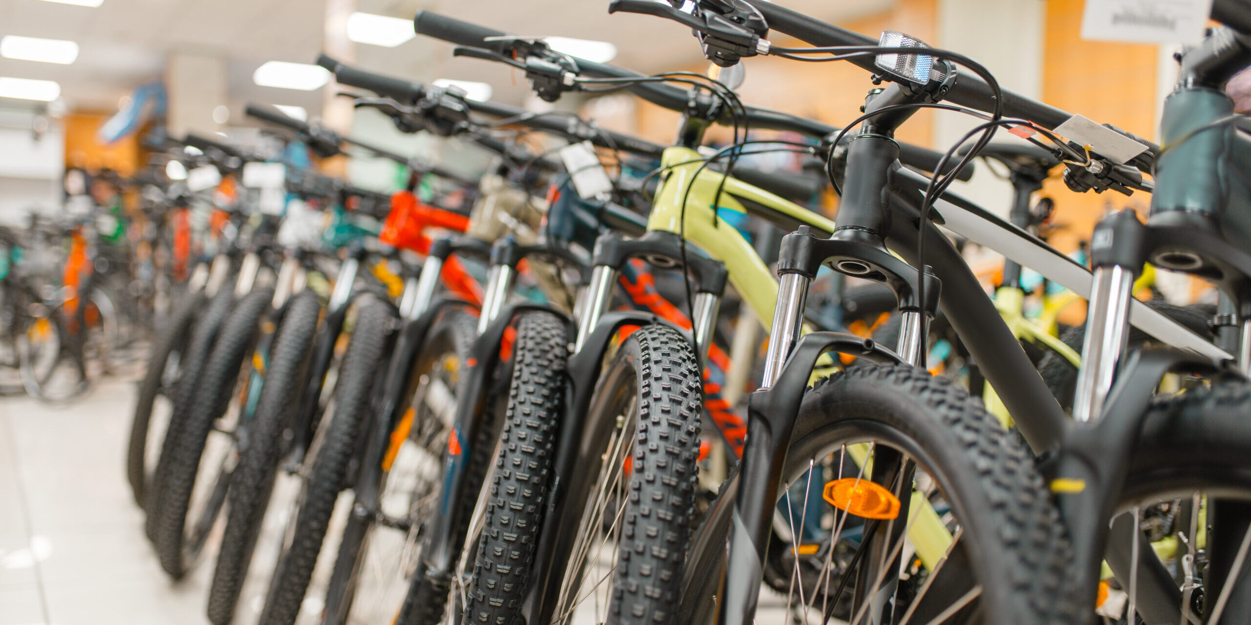 Rows of mountain bicycles in sports shop, nobody. Summer active leisure, showcase with bikes, cycle sale